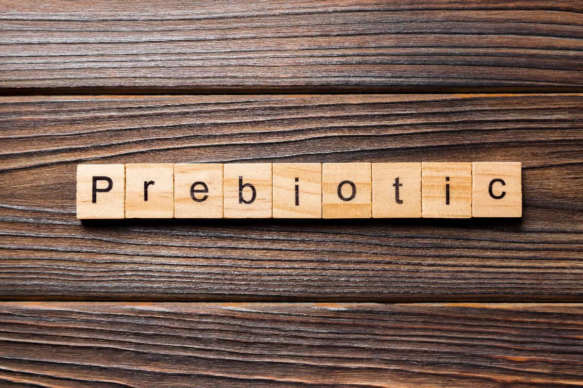 Wooden blocks spelling the word prebiotic on a rustic wooden background.