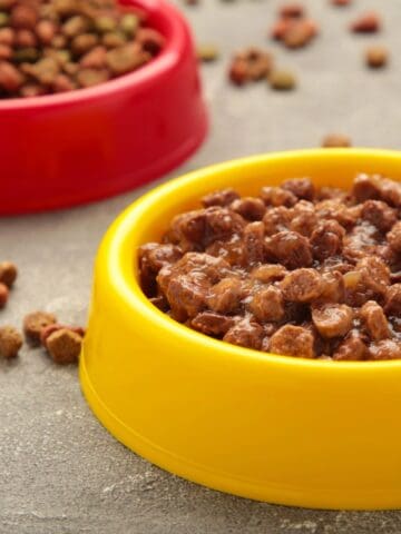 A yellow bowl of wet dog food sits next to a red bowl filled with dry kibble on the floor.