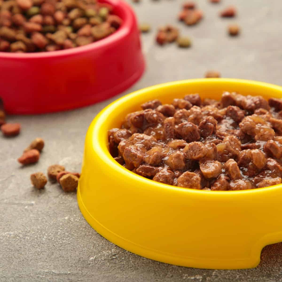 A yellow bowl of wet dog food sits next to a red bowl filled with dry kibble on the floor.