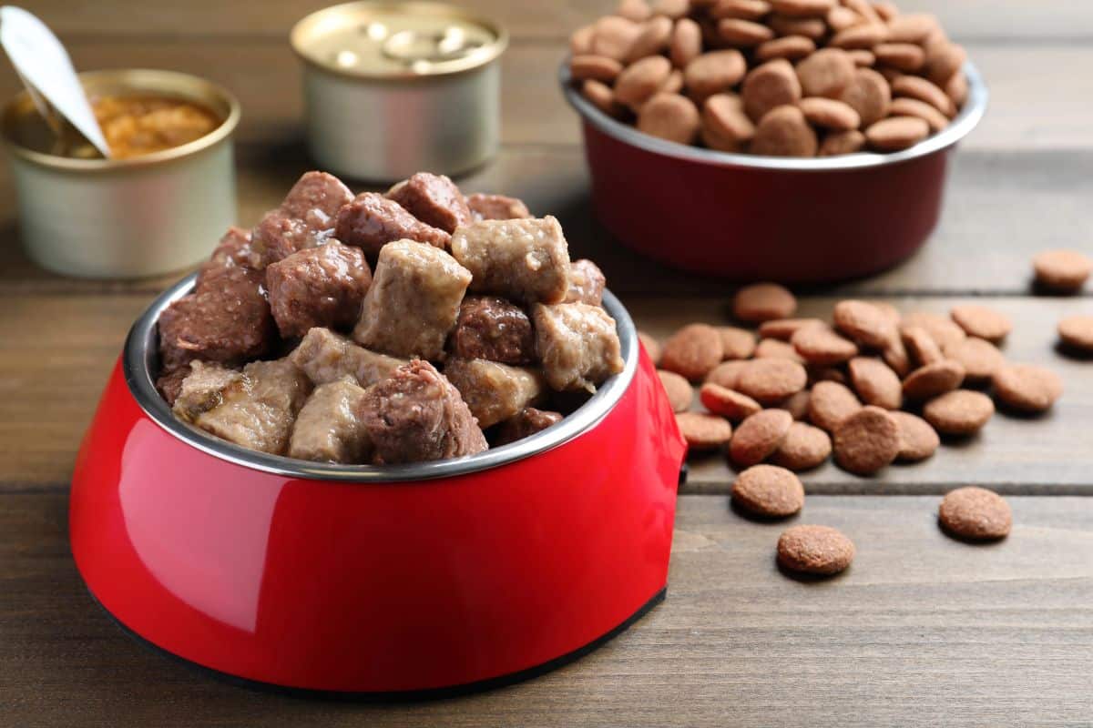A red dog bowl filled with mixed wet food chunks and kibble, with dry food and cans in the background.