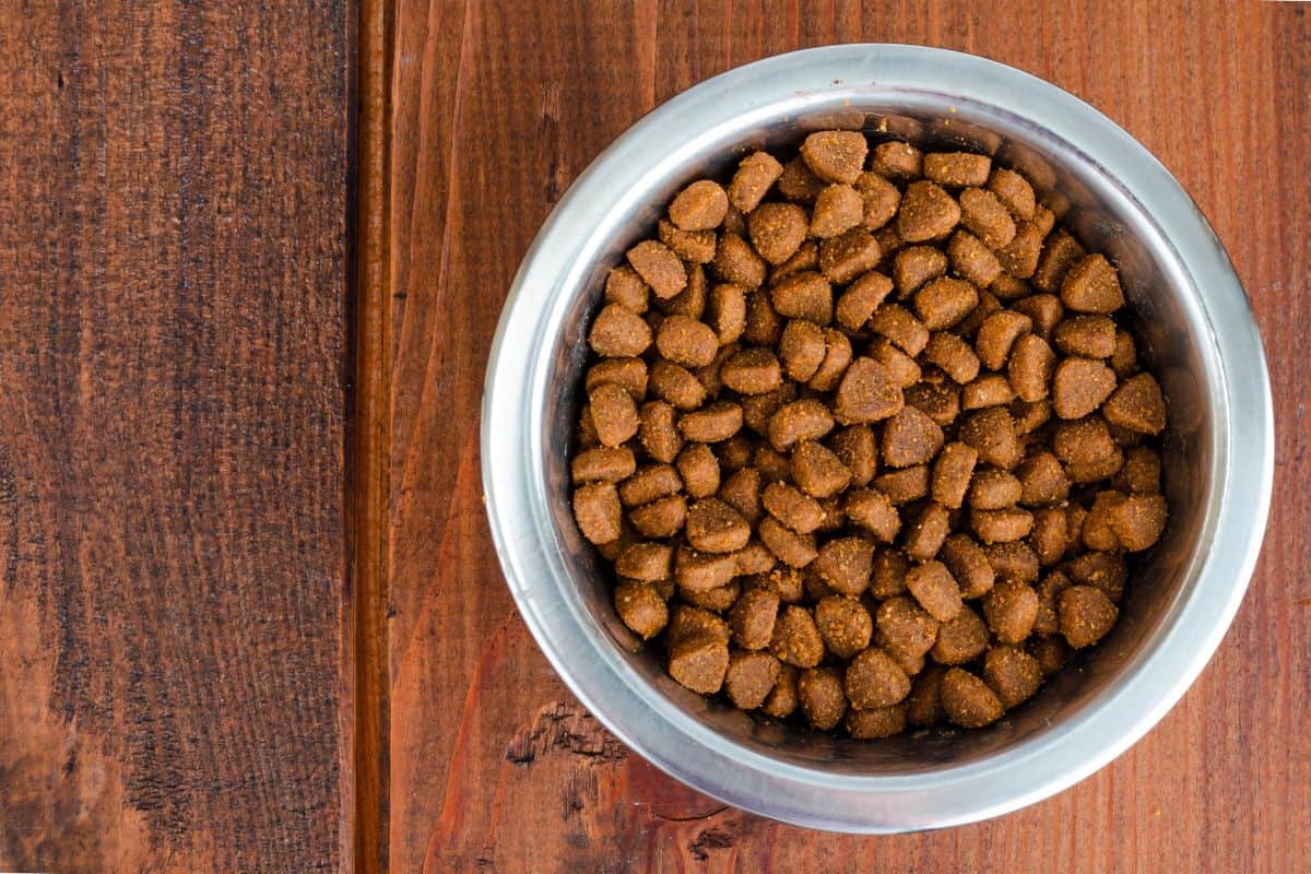 Bowl of dry dog food on a wooden surface.
