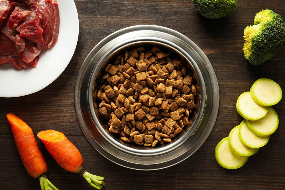 Bowl of dry dog food surrounded by raw meat, carrots, zucchini, and broccoli.
