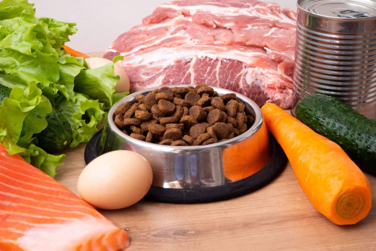 Bowl of dry dog food surrounded by raw meat, salmon, eggs, and fresh vegetables.