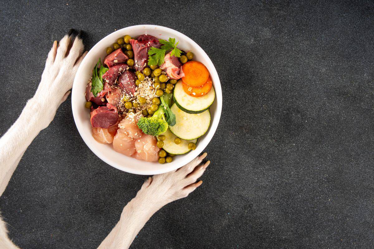 Dog paws reaching toward a bowl of raw dog food with meat and vegetables.