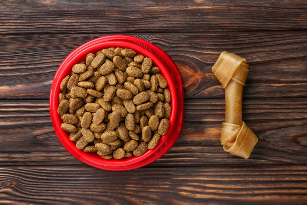 Red bowl of dry puppy kibble with a chew bone on a wooden surface.