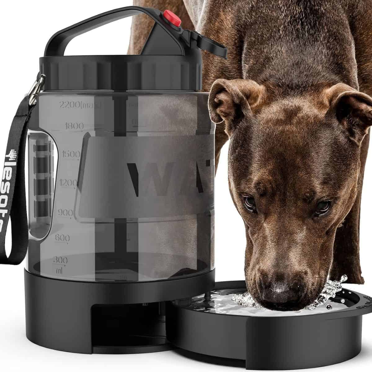 Dog using a portable water bottle dispenser while drinking outdoors.