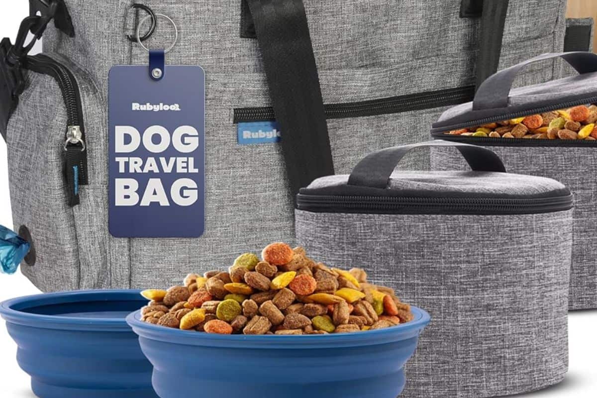 Dog travel bag with collapsible bowls and food storage containers.