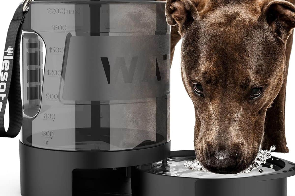 Dog drinking water from a portable travel bowl bottle dispenser.
