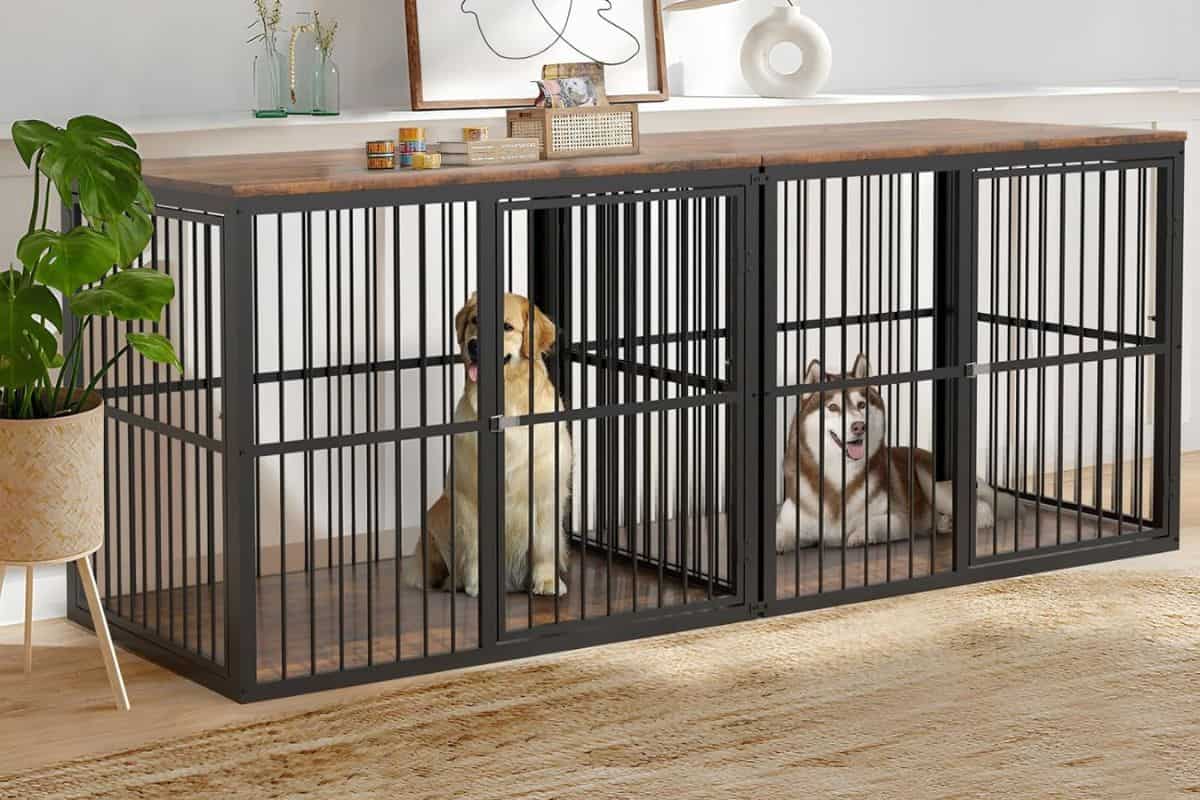 Two dogs resting inside a heavy-duty dog crate furniture enclosure.
