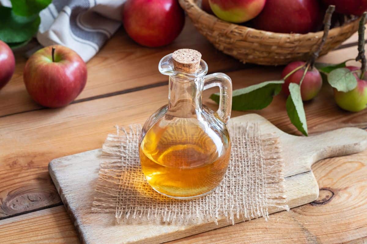 Bottle of apple cider vinegar on a wooden table with apples.