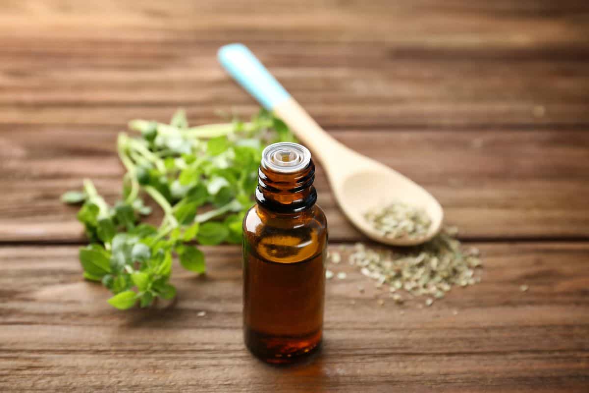 Small bottle of herbal oil beside dried herbs and a spoon.