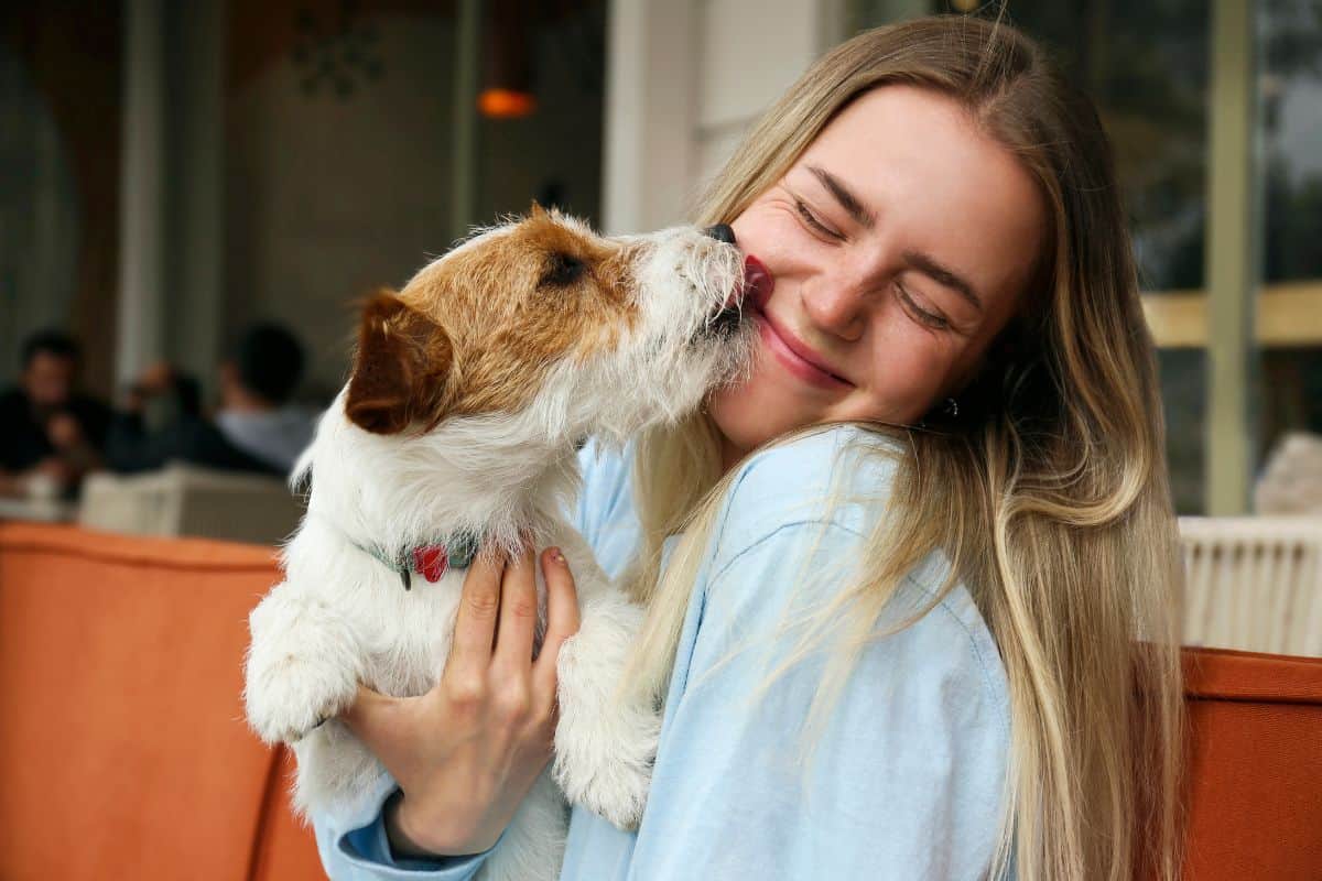Small dog licking a smiling woman’s cheek while being cuddled.