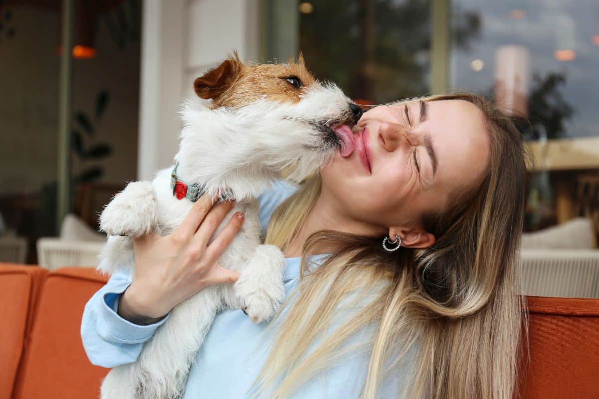 Small dog licking a woman’s face while being held indoors.
