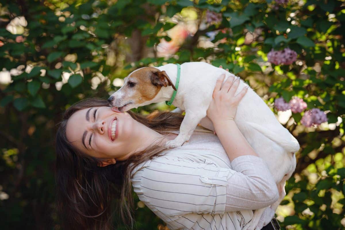 Dog licking a smiling woman’s face while she holds it outdoors.