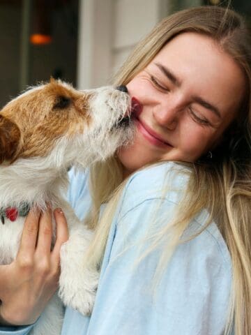Small dog affectionately licking a smiling woman’s face while she cuddles it.