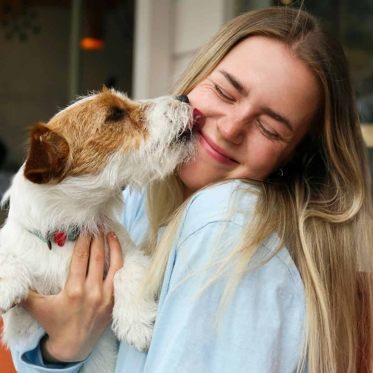Small dog affectionately licking a smiling woman’s face while she cuddles it.