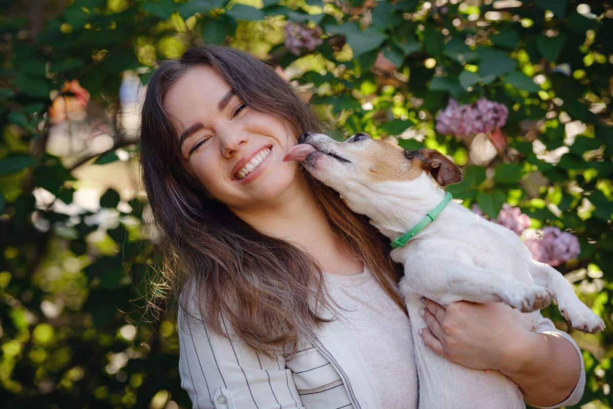 Dog licking a smiling woman’s face while she holds it outdoors.