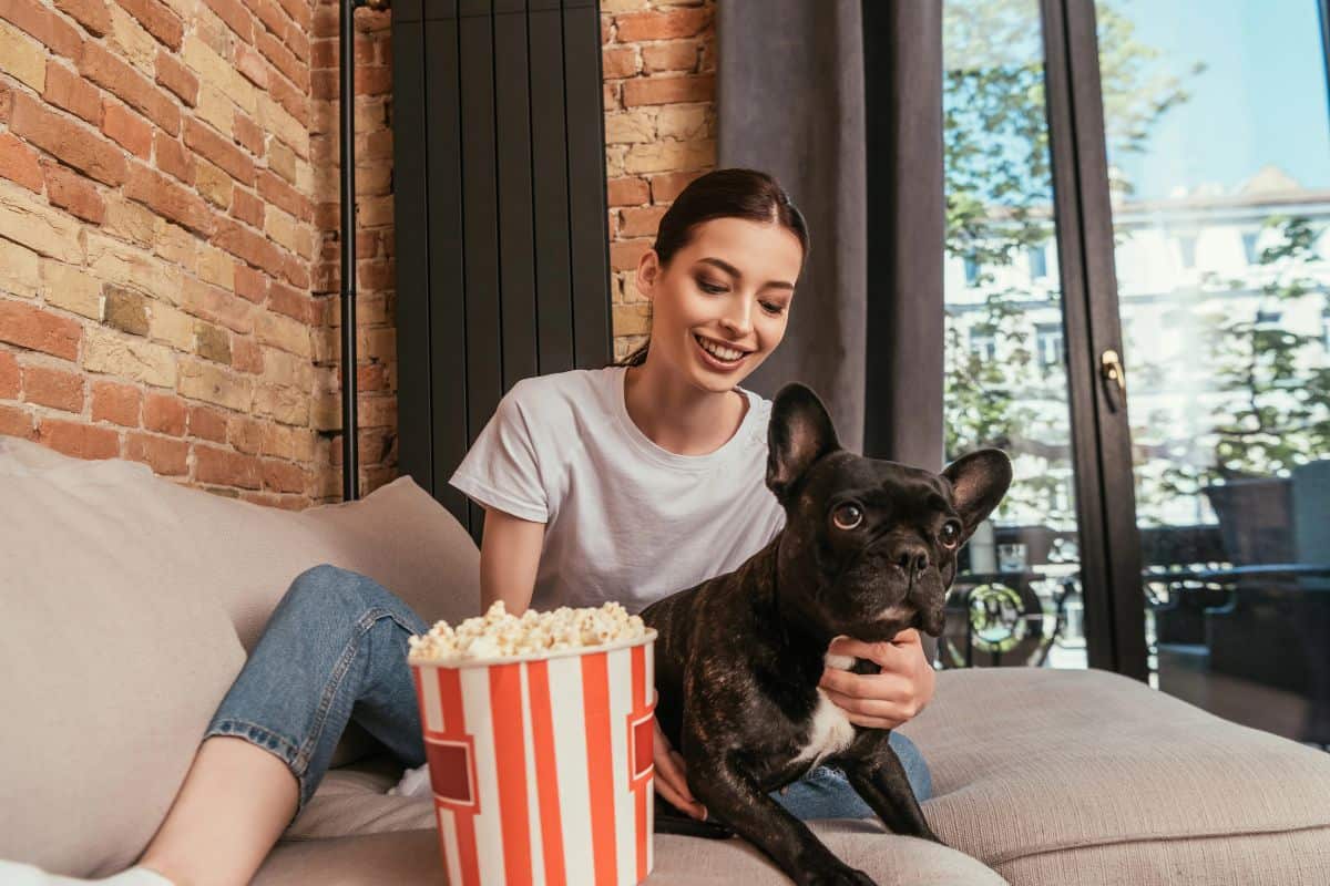 Woman sitting on a couch with a French Bulldog beside a bucket of popcorn.